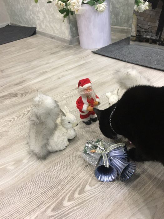 Все для праздника