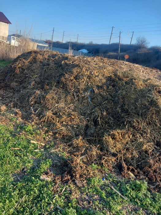 Donez gunoi de grajd