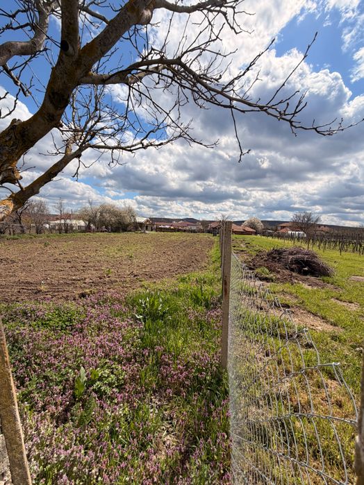 Парцел за застрояване в с. Кривини