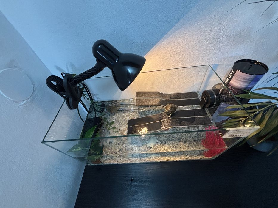 Acvariu pesti/ acvariu broaste testoase