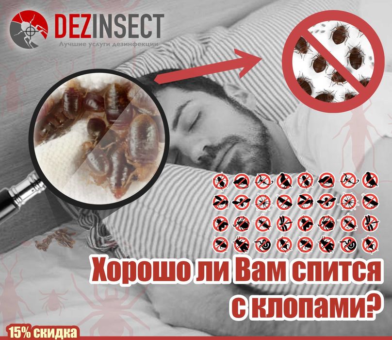 Dezinfeksiya xizmati | Dizinfeksiya | Dorilash xizmati | Klapaga Dori