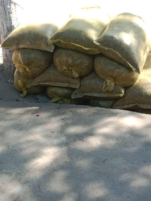 20 kg selos sotildi, donli