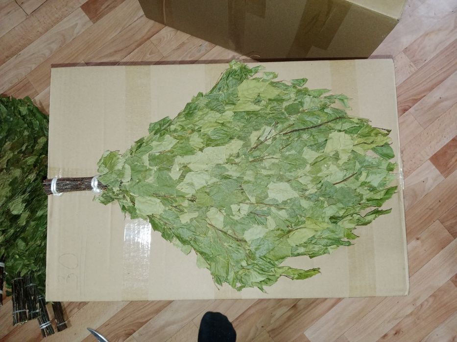 Веники, жапырак 600тг розницу/оптом