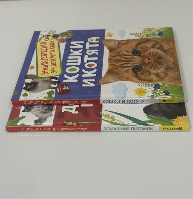 Книга кошки и котята , и домошние питомцы