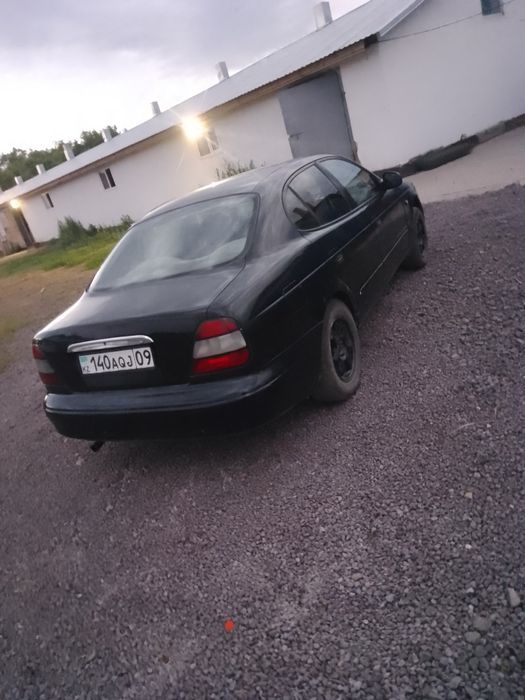 Дайво леганза 1997 года