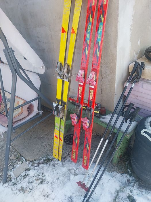 Schiuri fără clăpari