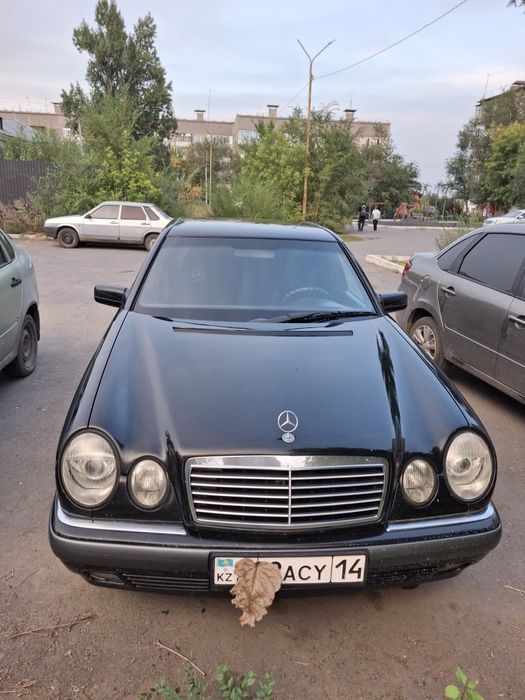 Мерседес лупатый