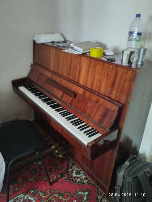 Беларусь пионена