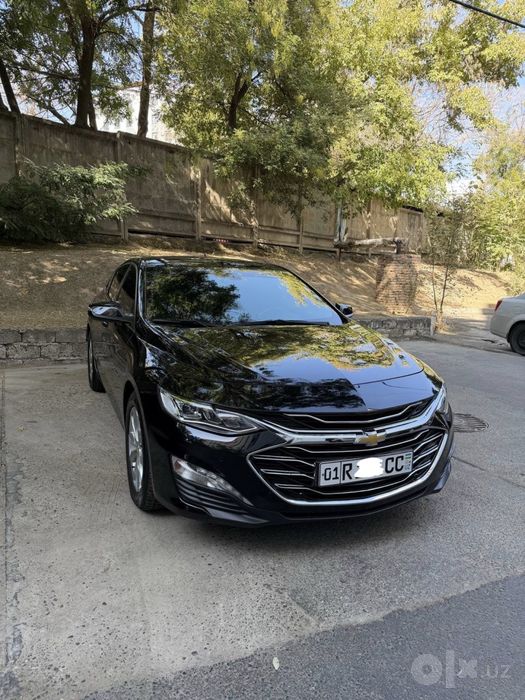 Sotiladi malibu premier
