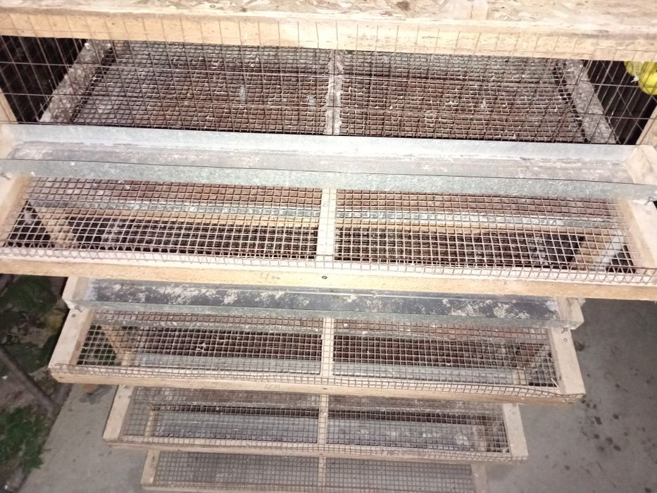 Клетка для перепелов