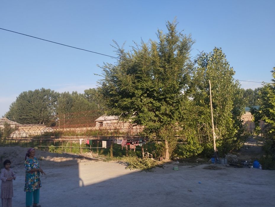 Hamma sharoitlari bor yer uchastkasi sotiladi