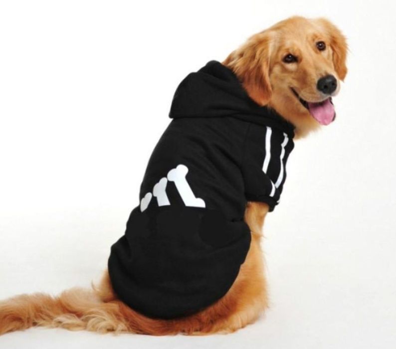 Jacheta neagra pentru caine, Nou.