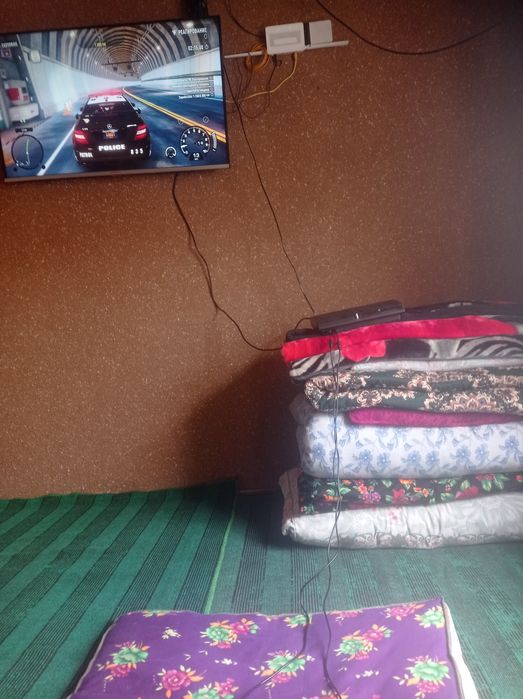 Plasteshin igra uyin