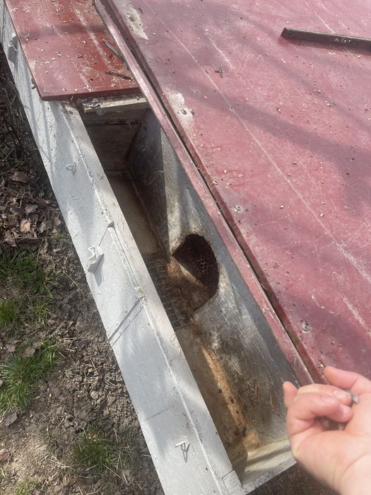 Vand custi iepuri