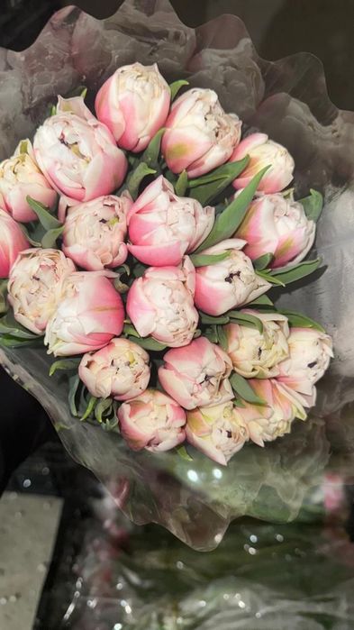 Тюльпаны Розница в упакове с доставкой