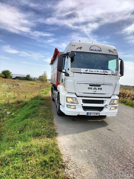 Man Tgx 480 Basculabil Cereale