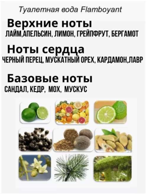 Flamboyant [Флэмбойент] для мужчин