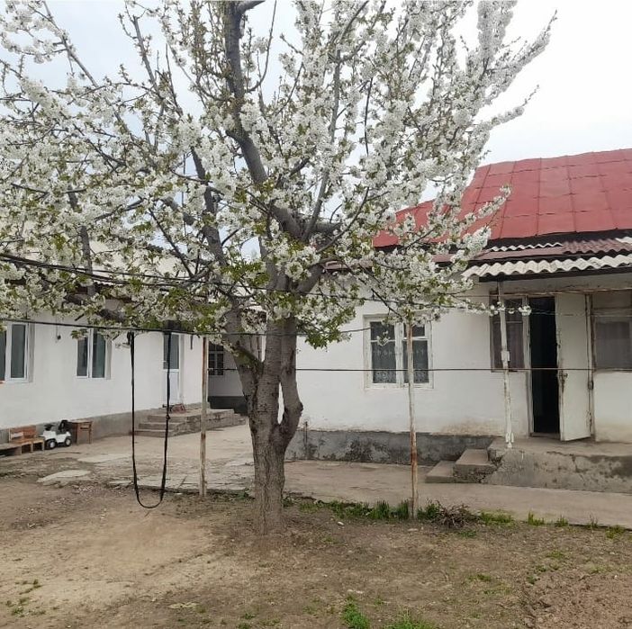 Bostonliq tumani Qziltuda hovli sotiladi