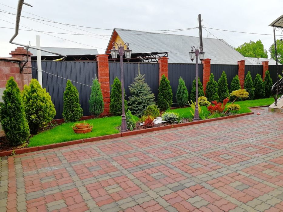 Газон под ключ сочный зеленый газон