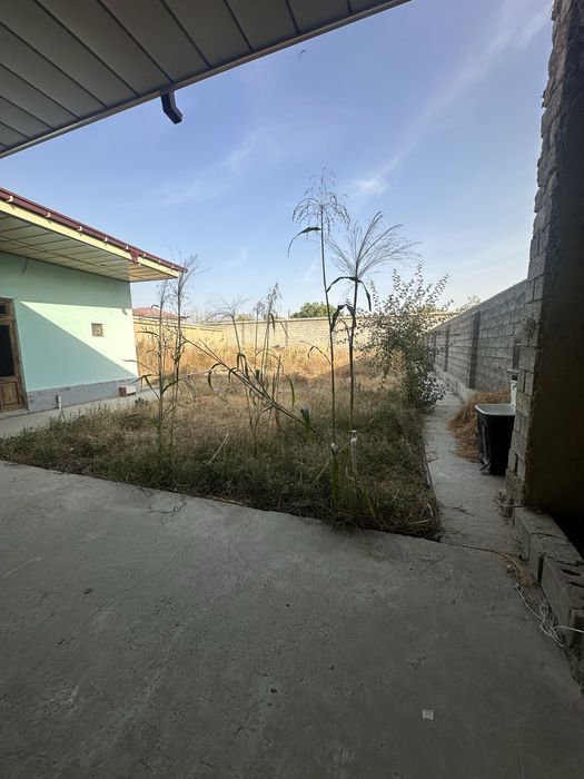 Hovli ijaraga beriladi samarkandda