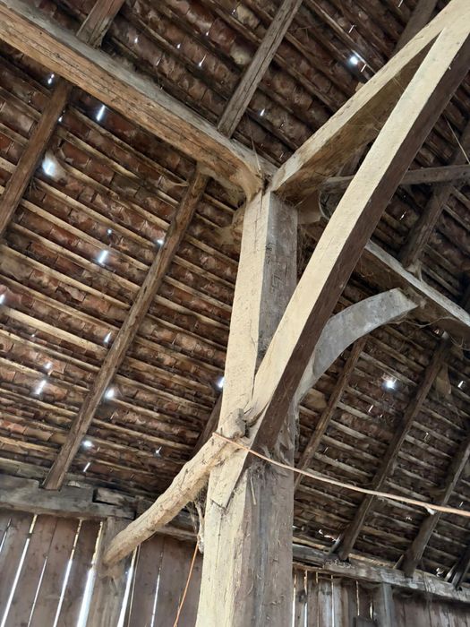 Sură din stejar masiv 1886