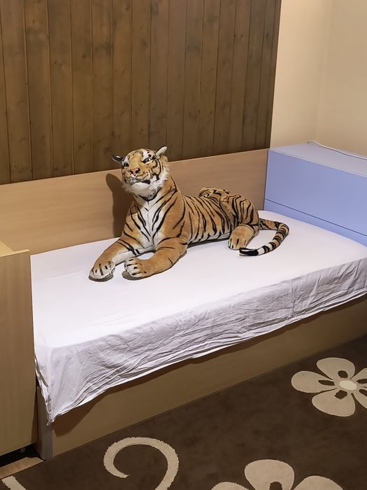 Голям плюшен тигър, размер на снимките 
Без забележки - 30евро 
Бу