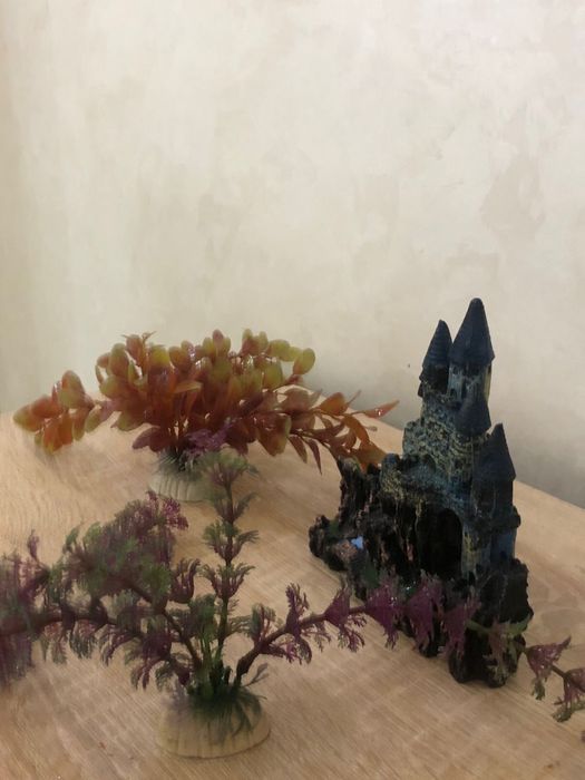 аквариум хорошем состоянии