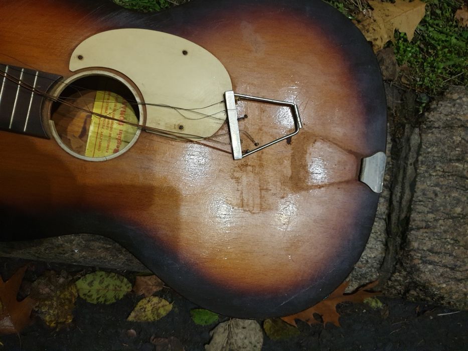 Chitara Reghin defectă pt decor