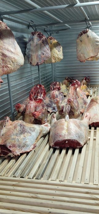 Мясо говядины говяжи