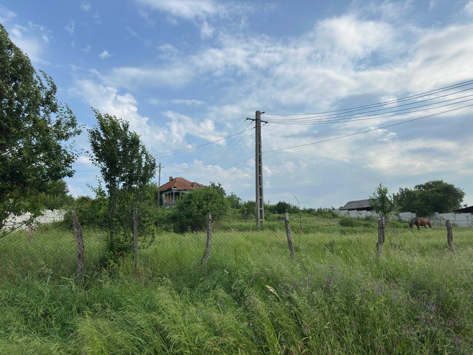Ocazie unică - Casă Boierească - Filiaşi (Fratoştiţa)  - 8500 mp Teren