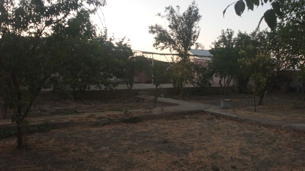 Kogon gorodda uchastka sotiladi