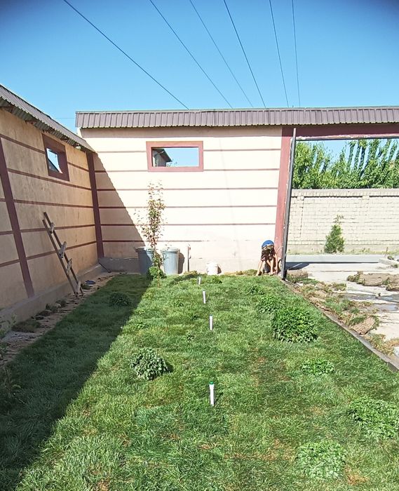 Газон установка кв 25 000