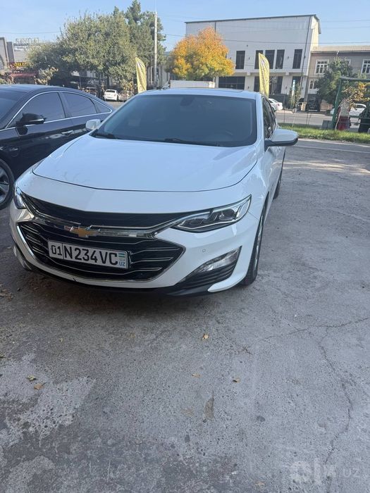 Srochna sotladi malibu premier