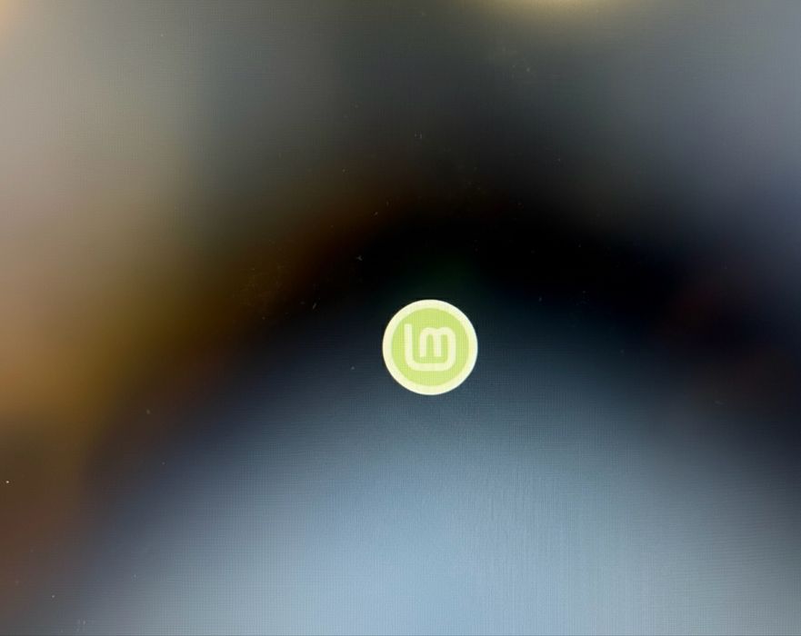 Stick Ubuntu/Linux Mint