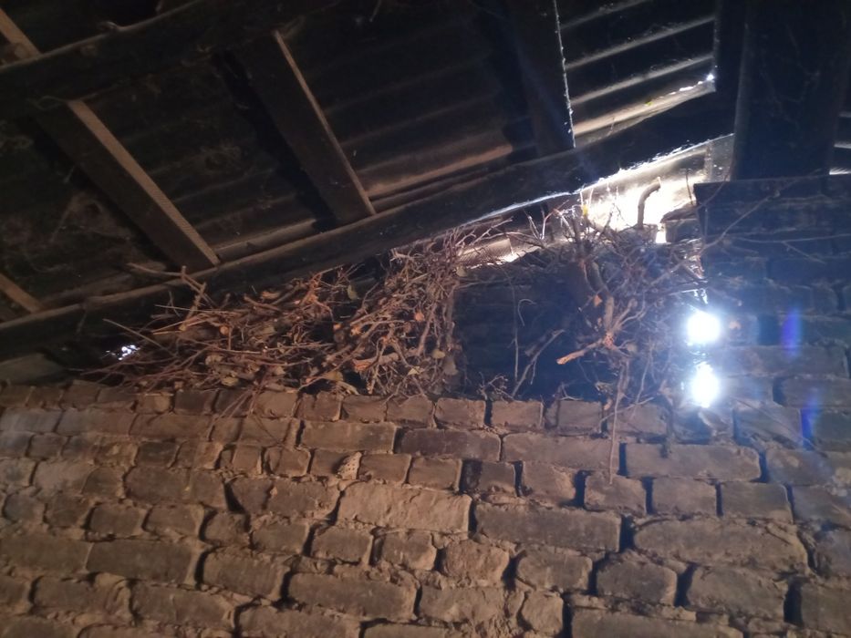 Мевали Утин сотилади 300.000сум килишамиз