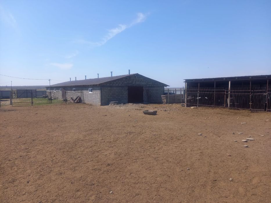 Крестьянское хозяйство