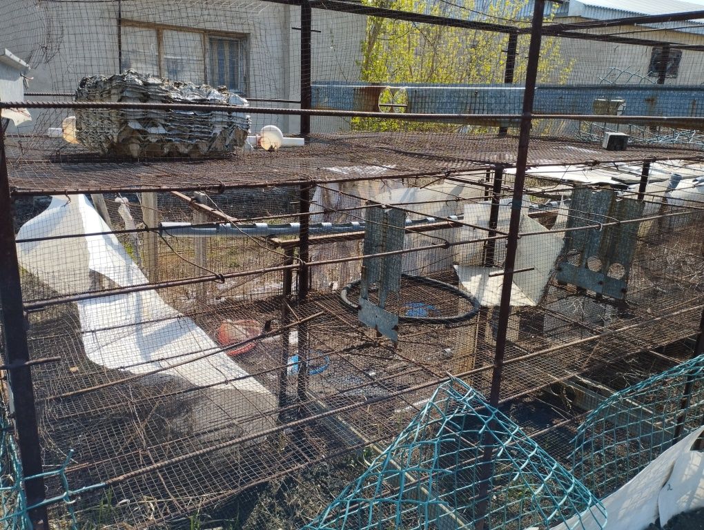 Клетки для кур, кроликов и тд.: 10 000 тг. - Зоотовары Петропавловск на Olx
