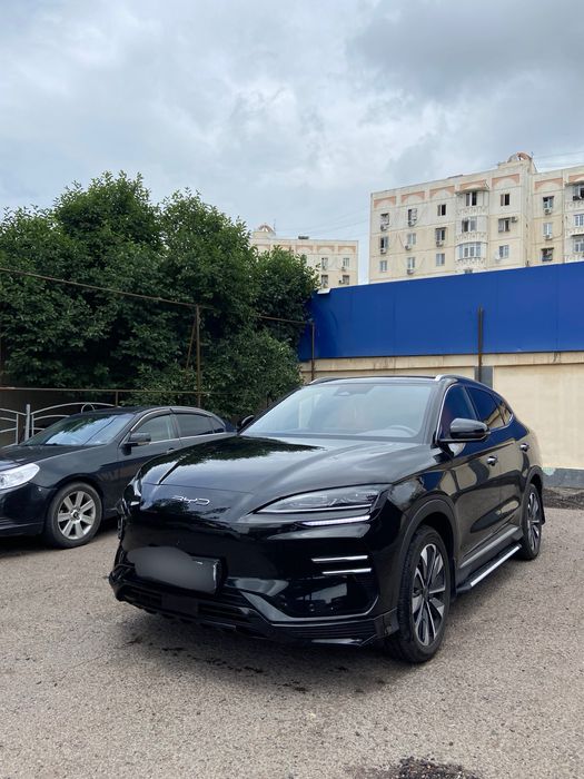 Byd champion restyling
