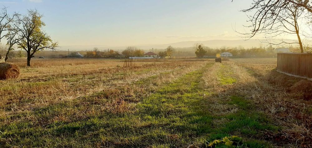 Teren intravilan 2950 mp