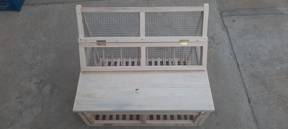 Sputnic intrare porumbei