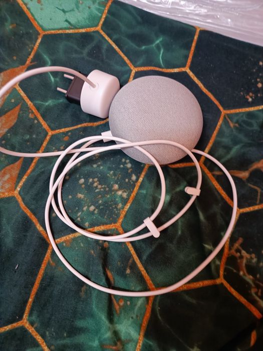 Google home mini