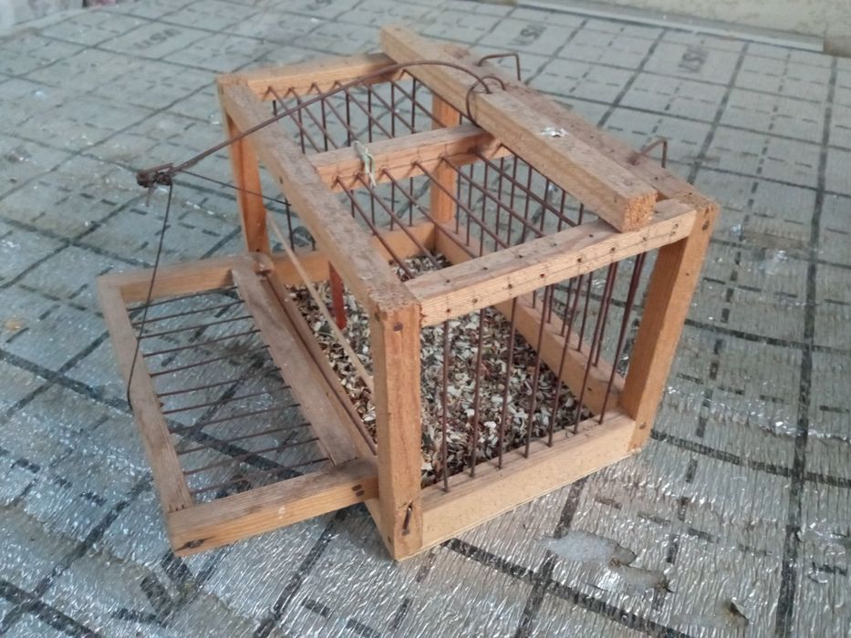 Чертма сотилади.  1 тали.