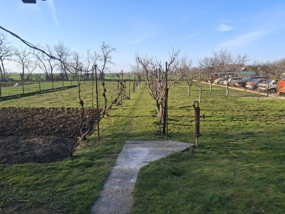 Casă 3 camere ȘOFRONEA