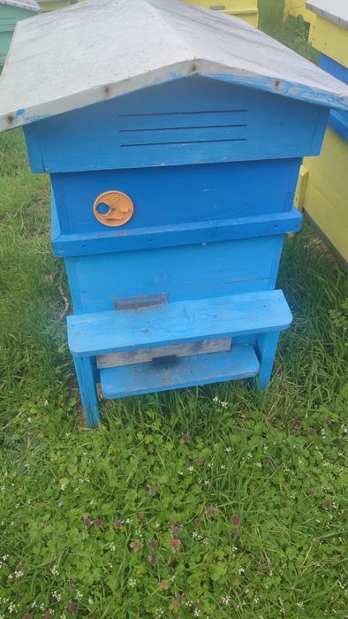 Пчелни кошери 10-рамкови - собствена изработка (без пчели)