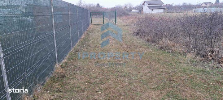 Teren Intravilan | Clinceni | 922mp