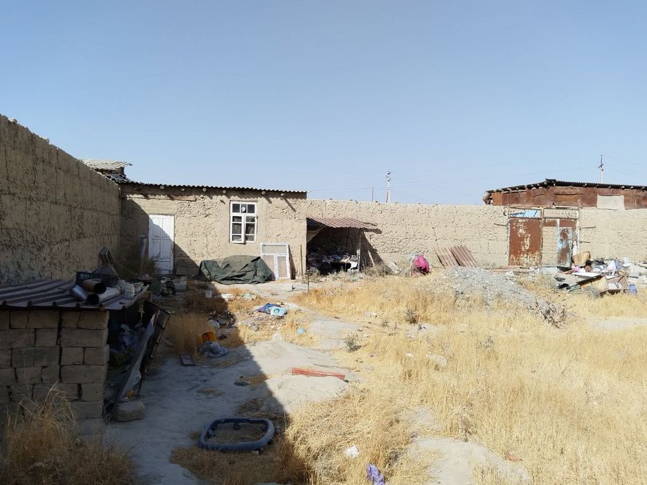 Uchastkai plemsalxoz