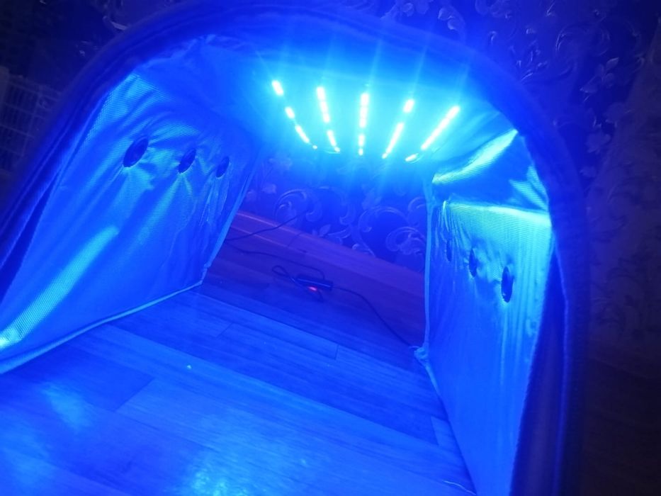 Кюувез желтухага арналган