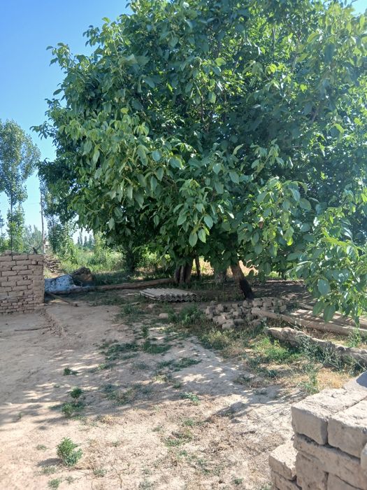 Уй сотилади 35 сотихли