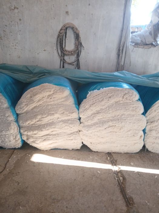 Paxtalar bor kelshamz