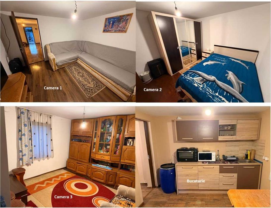 Casa + Teren Brebeni - 8000 metri patrati - 10 minute de Slatina